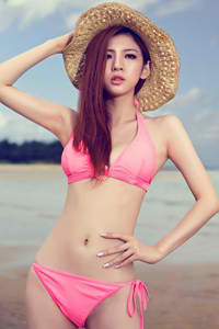 揭开尼斐塞特的秘密